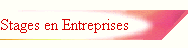 Stages en Entreprises